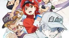 انمي Hataraku Saibou!! الحلقة 2 مترجم