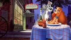 فيلم النبيلة والشارد مدبلج Lady and the Tramp 1955