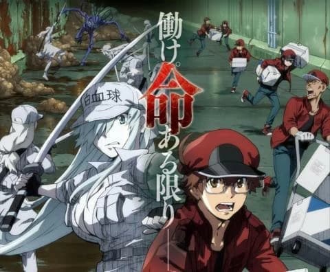 انمي Hataraku Saibou Black الحلقة 7